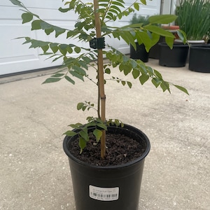 Brian added a photo of their purchase