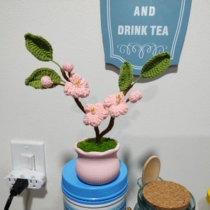 Olivia added a photo of their purchase