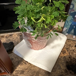 Rodney added a photo of their purchase