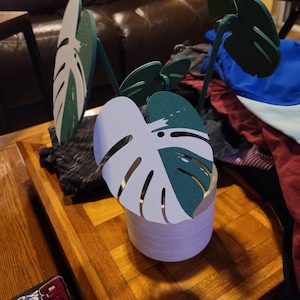 Heather added a photo of their purchase