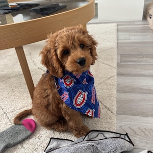 gab added a photo of their purchase