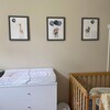 Nursery Wall Art Boy Nursery Decor Baby Animal Prints Baby Boy Wall ...