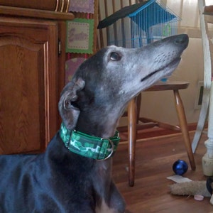 Susan added a photo of their purchase