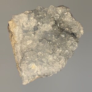 Isabella added a photo of their purchase