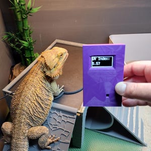 Rachel ha añadido una foto de su compra