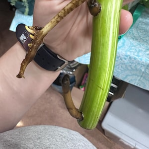 Janelle added a photo of their purchase