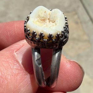 Amelia added a photo of their purchase