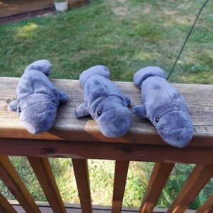 Ashley added a photo of their purchase