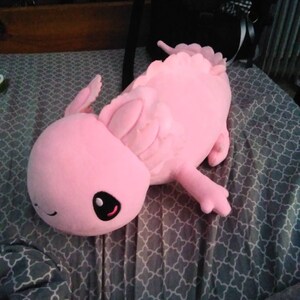 Graye added a photo of their purchase
