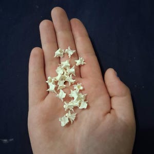 Alison heeft een foto van de aankoop toegevoegd