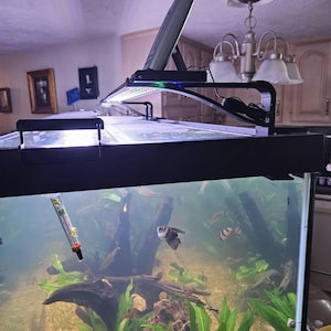 Angelo added a photo of their purchase