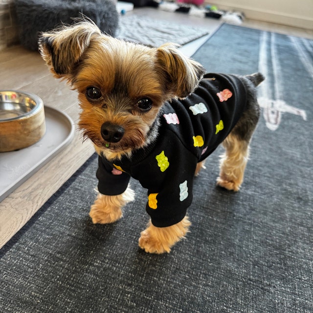 Mamas Boy Dog Hoodie Pet Clothing Dog Sweatshirt Blue Cute Dog