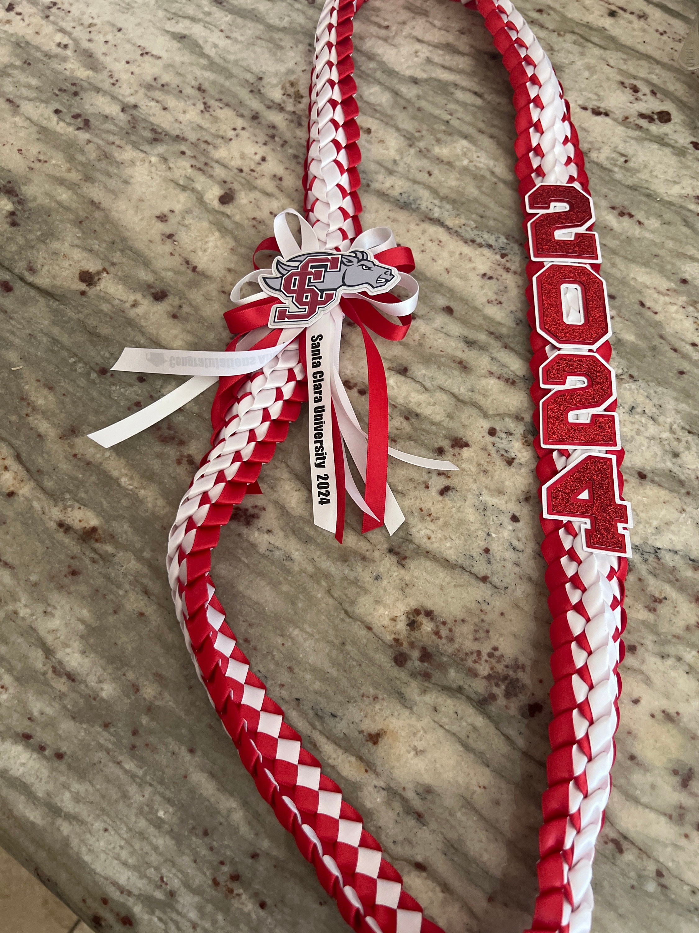 Abschluss-Lei - individuell an jedes College- oder Highschool-Logo und jede Highschool-Farbe angepasst - Personalisierter Lei, Klasse von 2025, Senior Night Lei