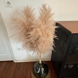 Julie added a photo of their purchase