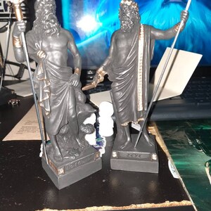 Miyoko added a photo of their purchase