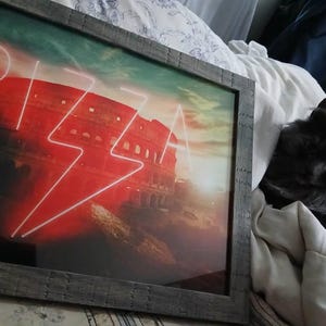 Fraser added a photo of their purchase