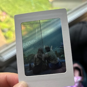 Raylie added a photo of their purchase
