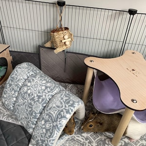 Kim added a photo of their purchase