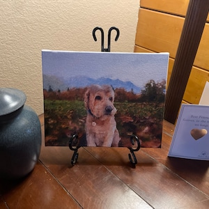 Sarena ha aggiunto una foto del proprio acquisto