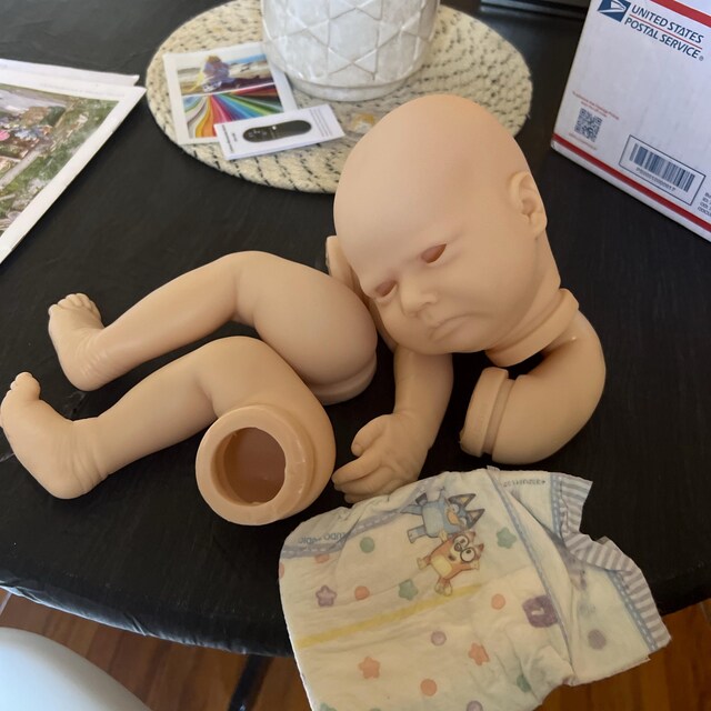 Phineas Sleeping *Authentic Realborn 18 Reborn Doll Kit/COA by Bountiful Baby e