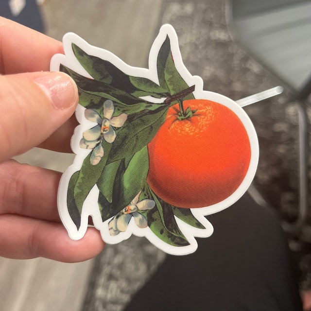 Orange Yeti Sticker Sticker for Sale by brookehend