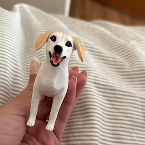 Amy added a photo of their purchase