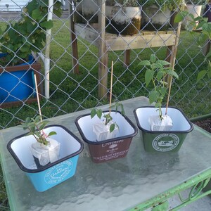 Thomas ha añadido una foto de su compra