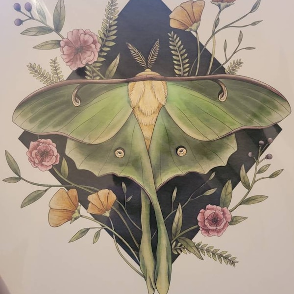 Luna Moth and Flowers Art Print | Home Wall Decor Giclée Fine Art Print ...