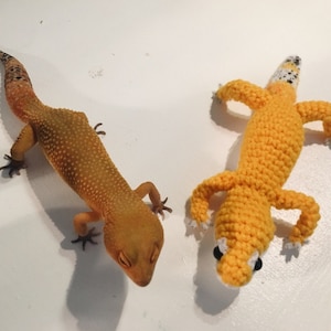 J added a photo of their purchase