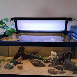 Hannah added a photo of their purchase