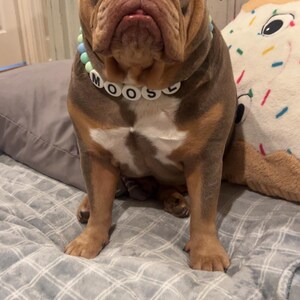 Courtney heeft een foto van zijn/haar aankoop toegevoegd