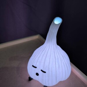 Srushti’s customer photo of Sleepy Garlic Night Light