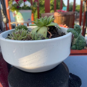 Deborah added a photo of their purchase