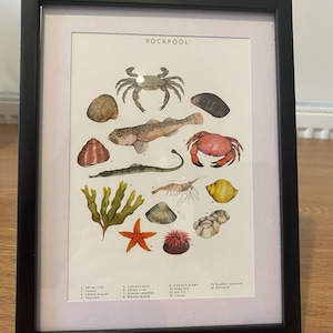 Lucy a ajouté une photo de son achat