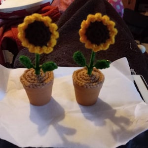 Julia added a photo of their purchase