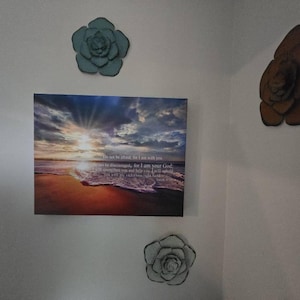 Lynn ha añadido una foto de su compra