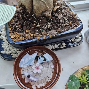 Isabella added a photo of their purchase