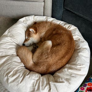 Comprador de Etsy ha añadido una foto de su compra