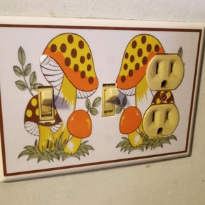 Leta added a photo of their purchase