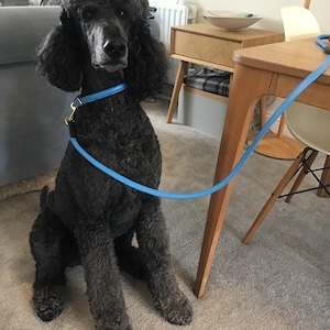 FREDDIE added a photo of their purchase