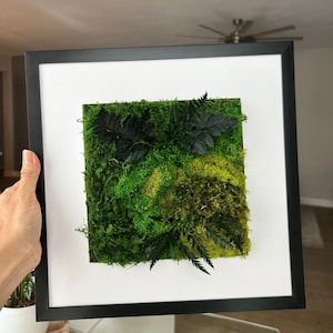 Rosana added a photo of their purchase