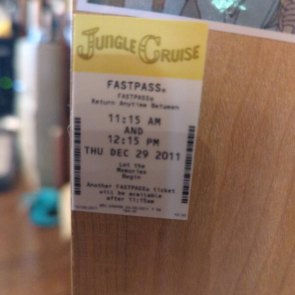 Fastpass Sticker, Hydroflask Sticker, Scrapbook Sticker, Ride Stickers ...