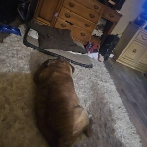 John ha añadido una foto de su compra
