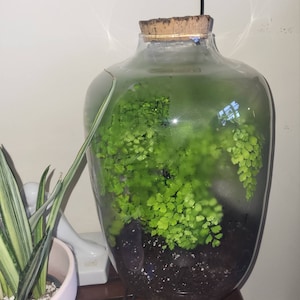 Ri ha añadido una foto de su compra