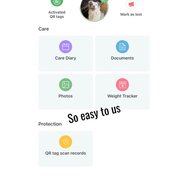 silent-cat-id-tag-qr-code-personalized-qr-code-cat-kitten-id-tag