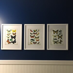 Emily added a photo of their purchase