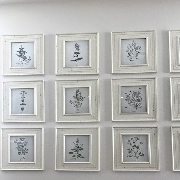 Kitchen Herbs Wall Art Print Set of 12, Vintage Botanical Herb Prints ...