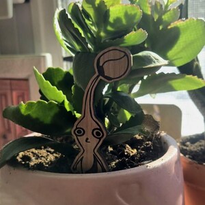 Ari added a photo of their purchase