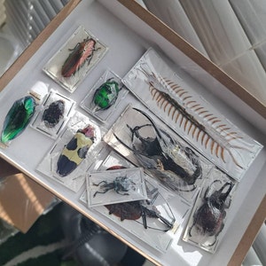 Creature ha añadido una foto de su compra