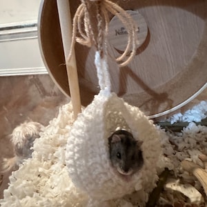Gracie added a photo of their purchase